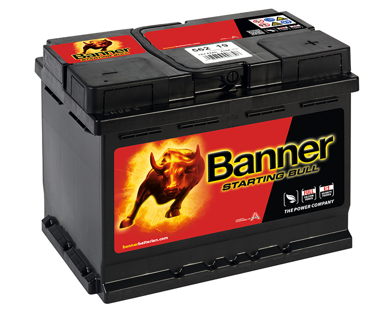 Starting Bull 562 19